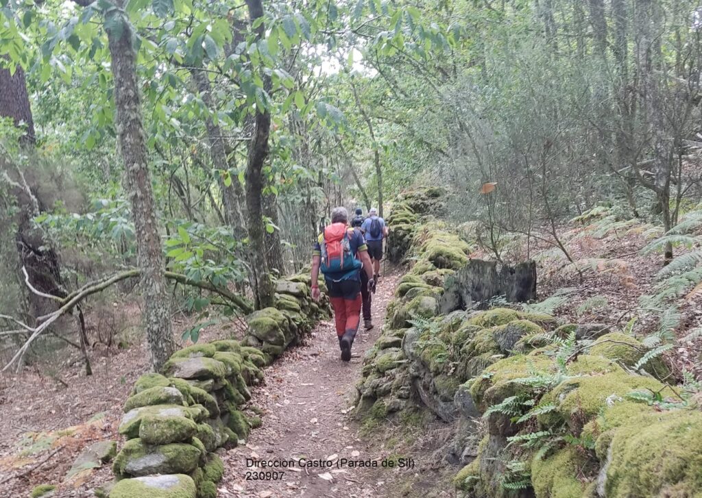 Camino_monxe