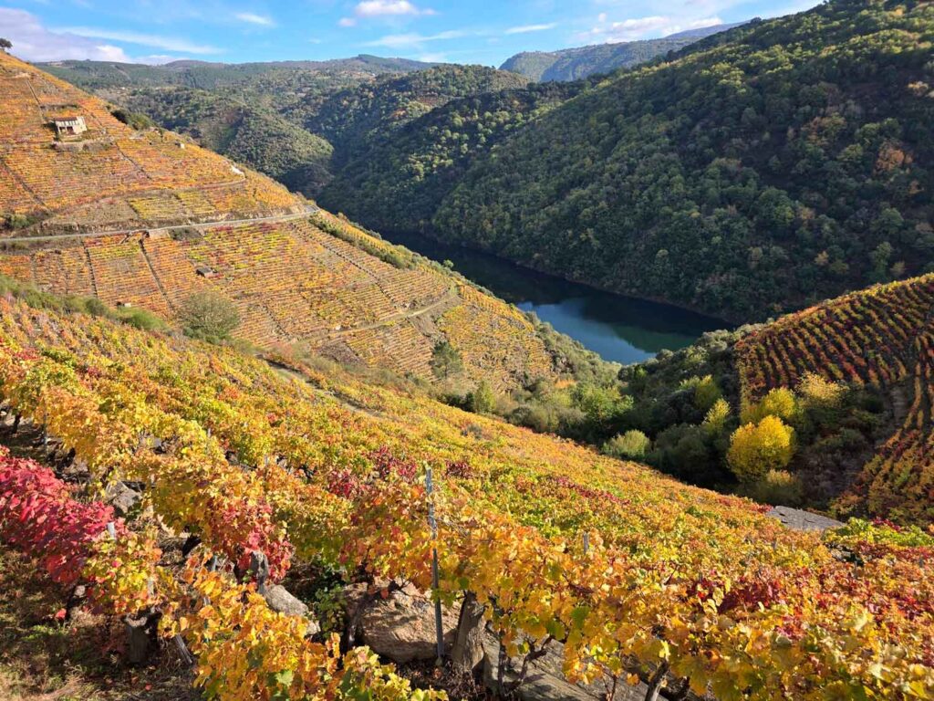 Ribeira Sacra Wine Tourism